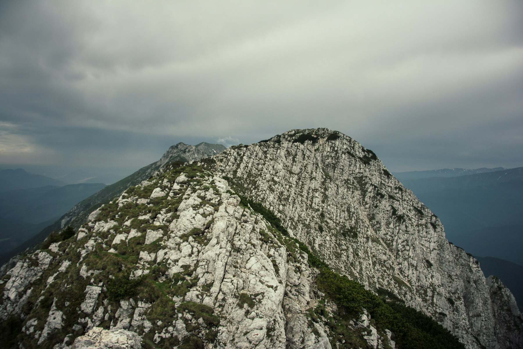 Creasta muntelui, deasupra pădurii